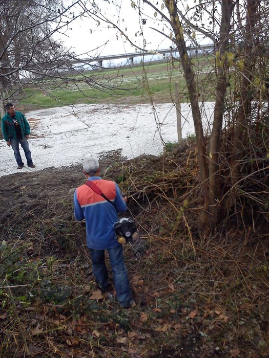 Почистване  и поддръжка на дворове!!!