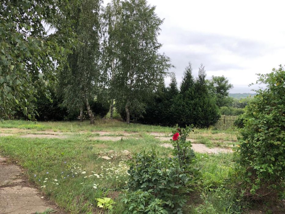 Casa /Vila de vanzare