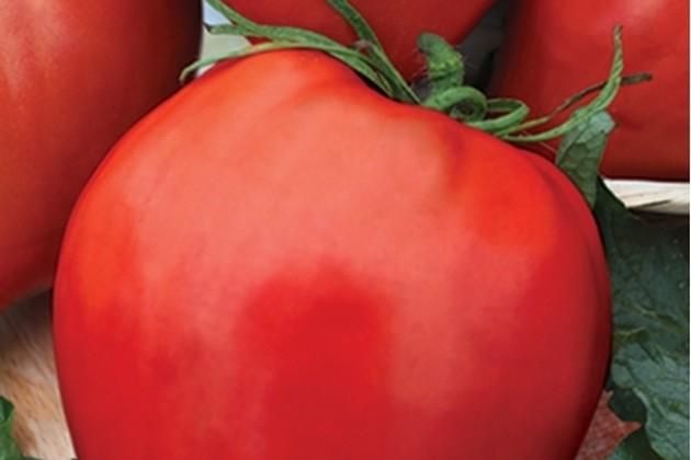 30 seminte tomate Momini Salzi (Lacrimile Fecioarei Gigant)