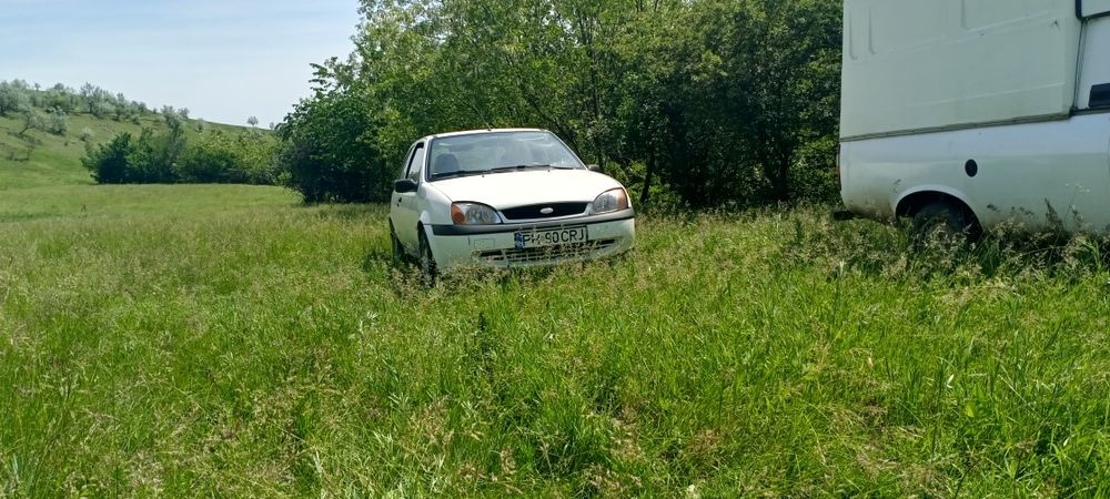 Ford Fiesta ( eventual pentru tichet RABLA)
