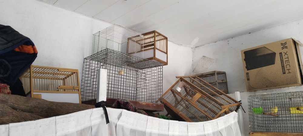 Клеткалар оптомга сотилади