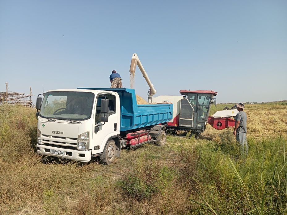 Isuzu sotiladi. Xolati alo darajada