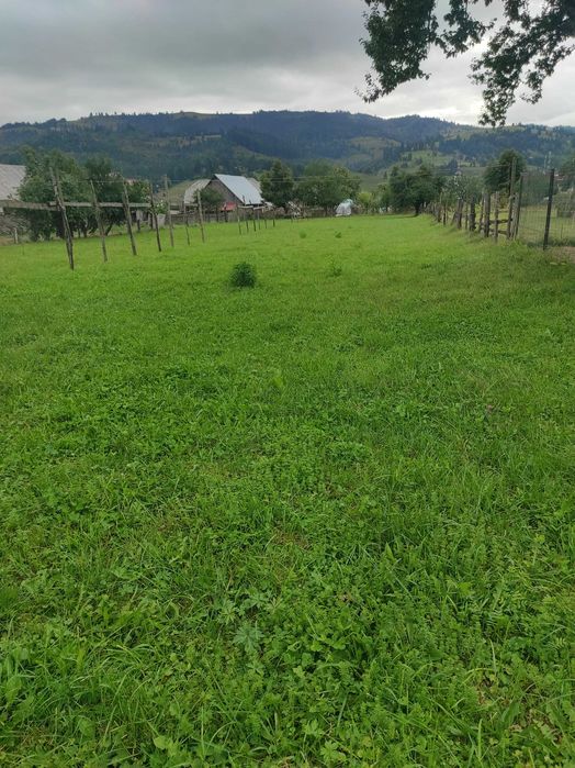 Vând teren intravilan în Lunca Ilvei aproape de centrul comunei