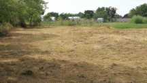 Vind teren  intravilan Biharia/Oradea ,1500 m ,front stradal 66m
