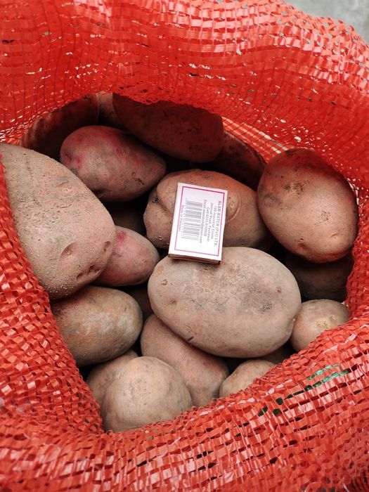 Продам едовой картофель