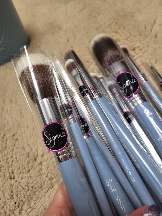 Set 19 pensule make up profesionale Sigma + cutie | Noi | Nefolosite