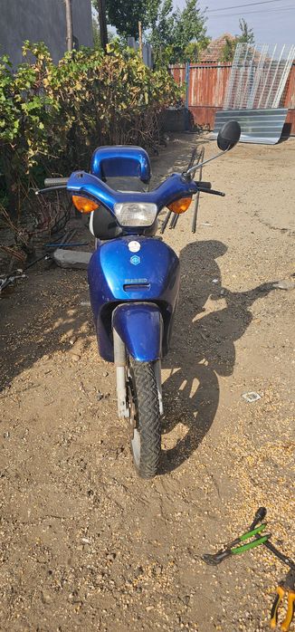 Piagio free 49 cm