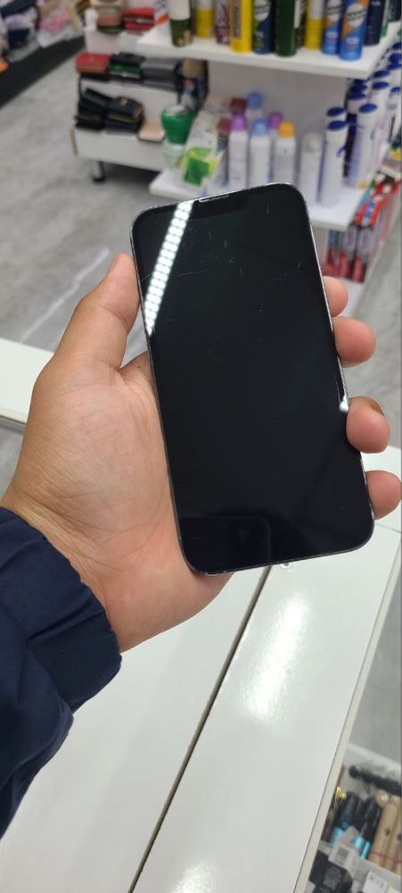 Iphone 13 pro delpin