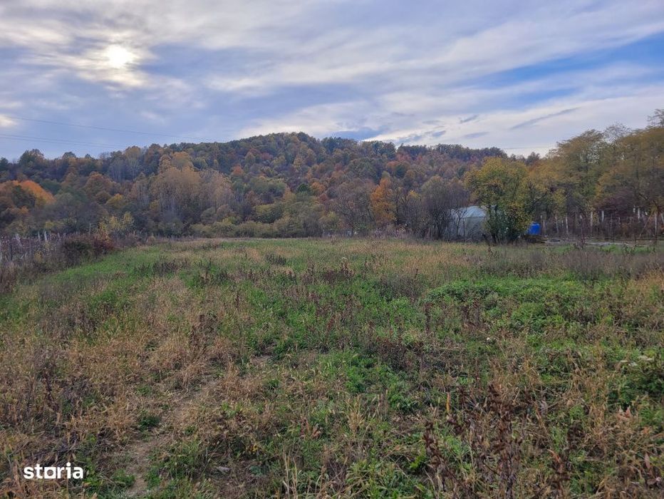 Vanzare teren intravilan, 4967  mp, utilitati, sat Rasova, Balesti.