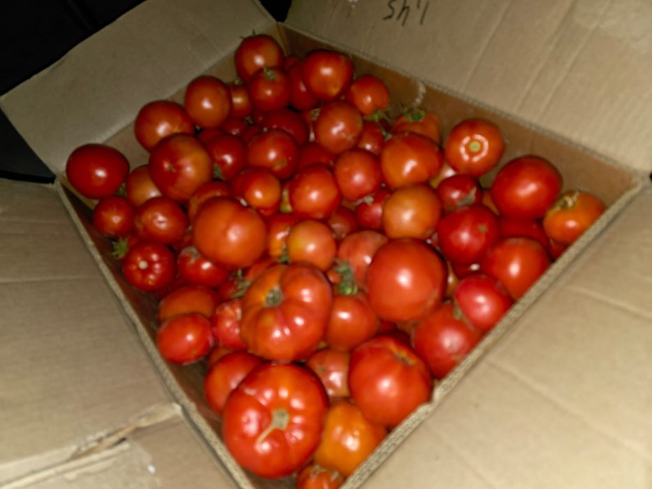 Помидоры 300 тг кг