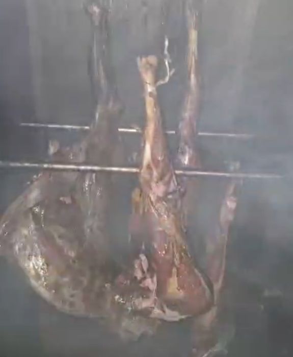 Копчёная мясо сайгака