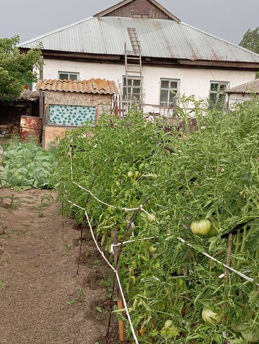 Продам недорого 7млн.тг  дом МЕНОВНОЕ рядом Иртыш