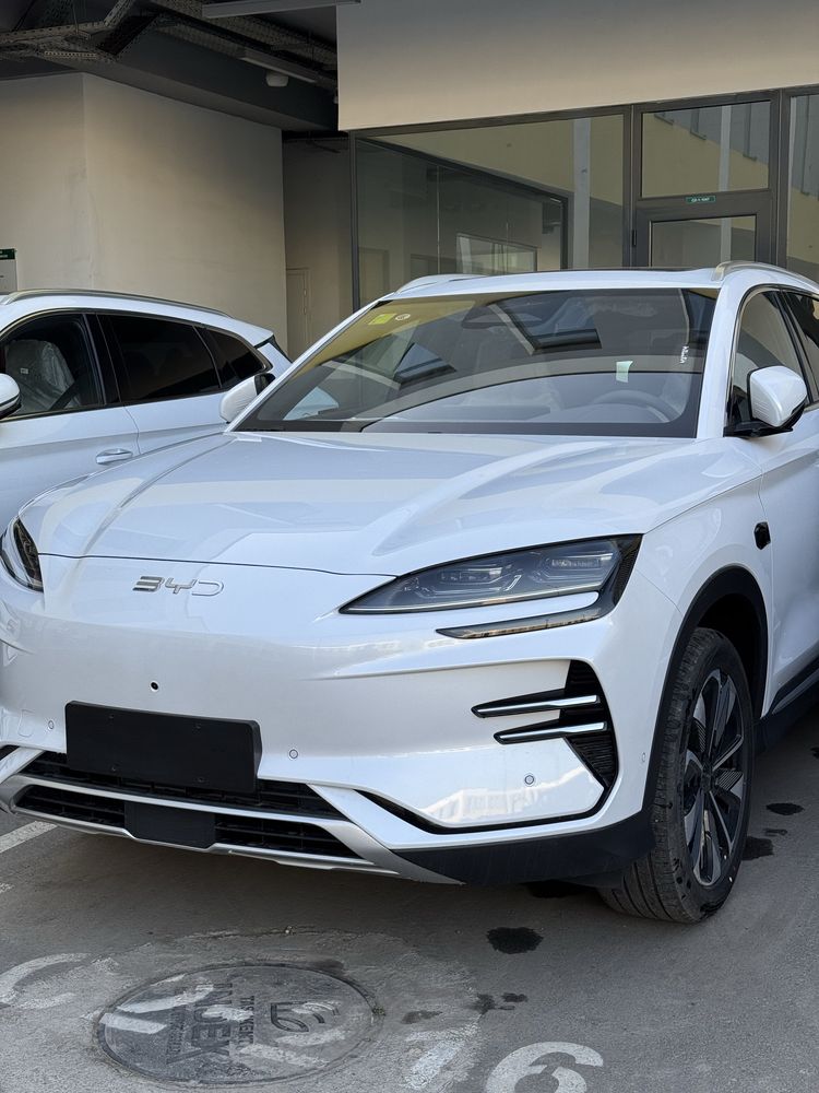 BYD Chenpion Smart driving Natarusga tayor