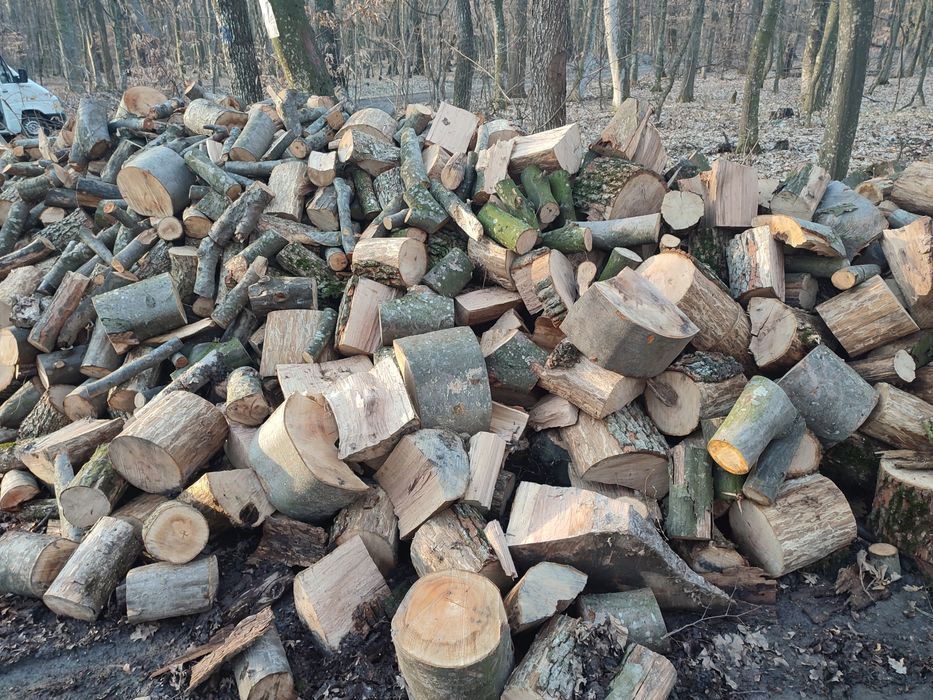 Vind lemne de foc esență tare