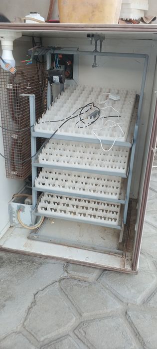 Инкубатор сотилади тезва арзон