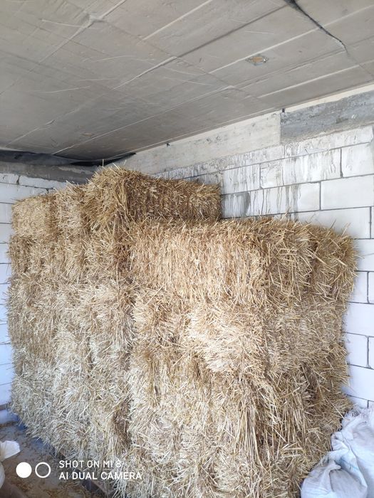 Mici dreptunghiulari baloți paie grau -orzoaica corbu cta transport cc