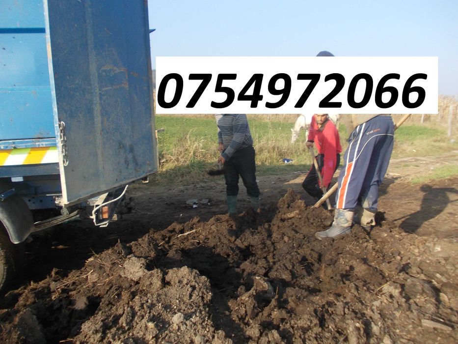 Nisip margaritar balastru chisai calcar granit balegar compost moloz.