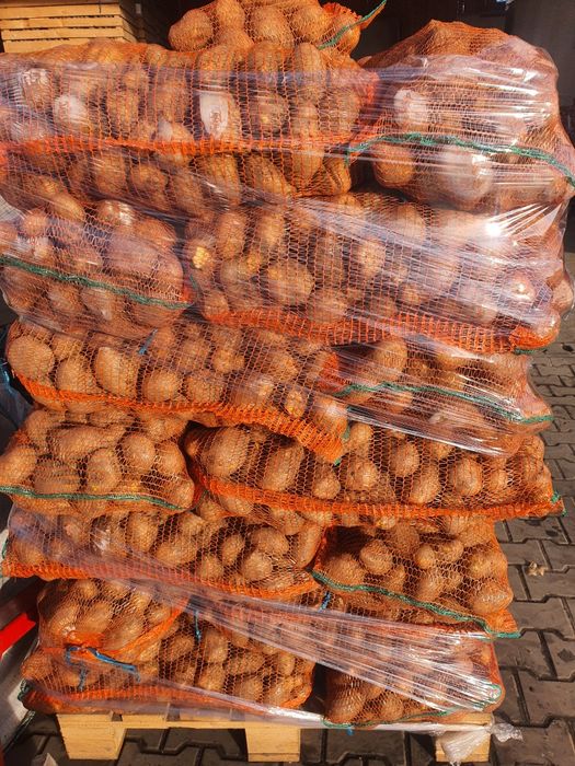 Cartofi alb,  60+ ceapa 50+