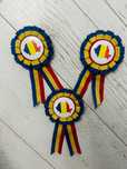 Cocarde (insigne)
