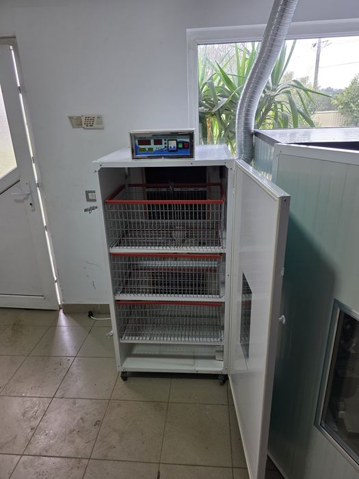 incubator oua strut