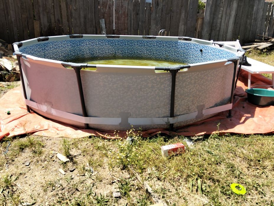 Copi care se distrează în pișchină