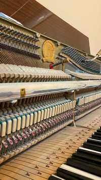 Настройка Пианино низкой цене высокое качество
