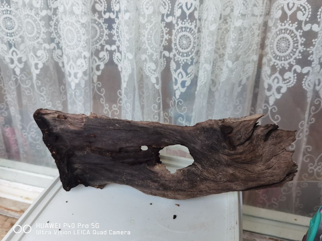 Мангрови корени..