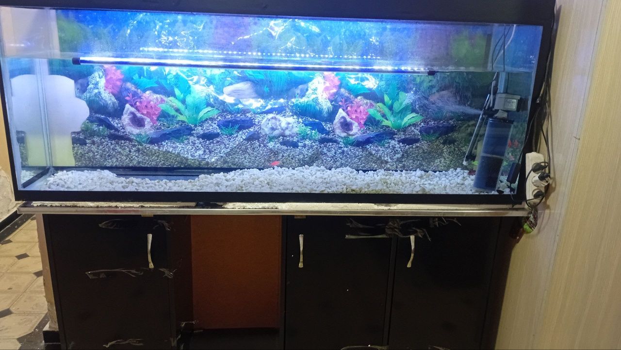 Akvarium Evro Kronka 10mm 160×40×70