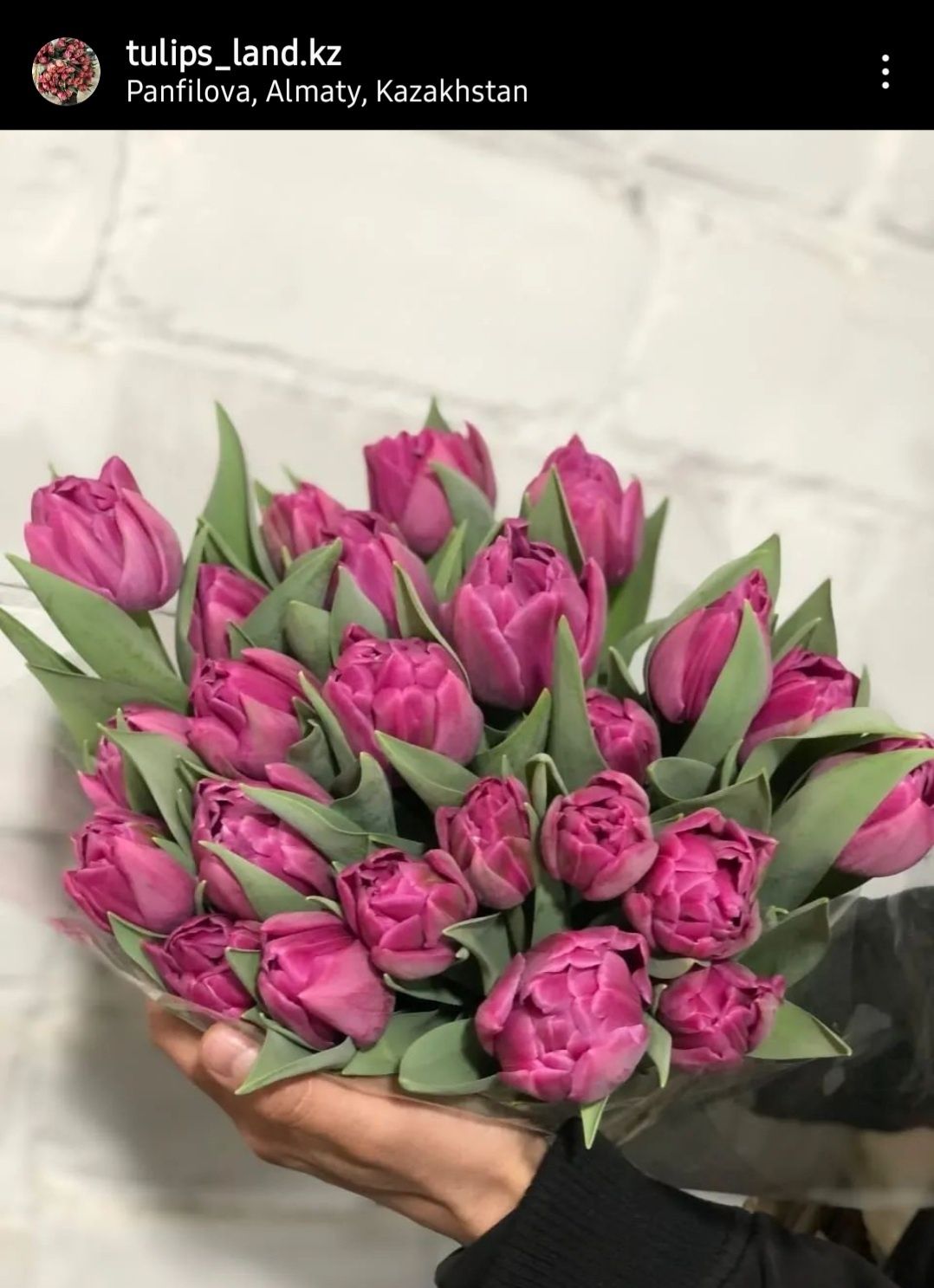 Тюльпаны Алматы оптом