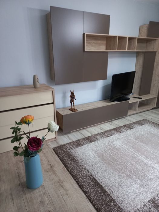 Apartament de închiriat Cart Tudor-Infratirii (disponibil)