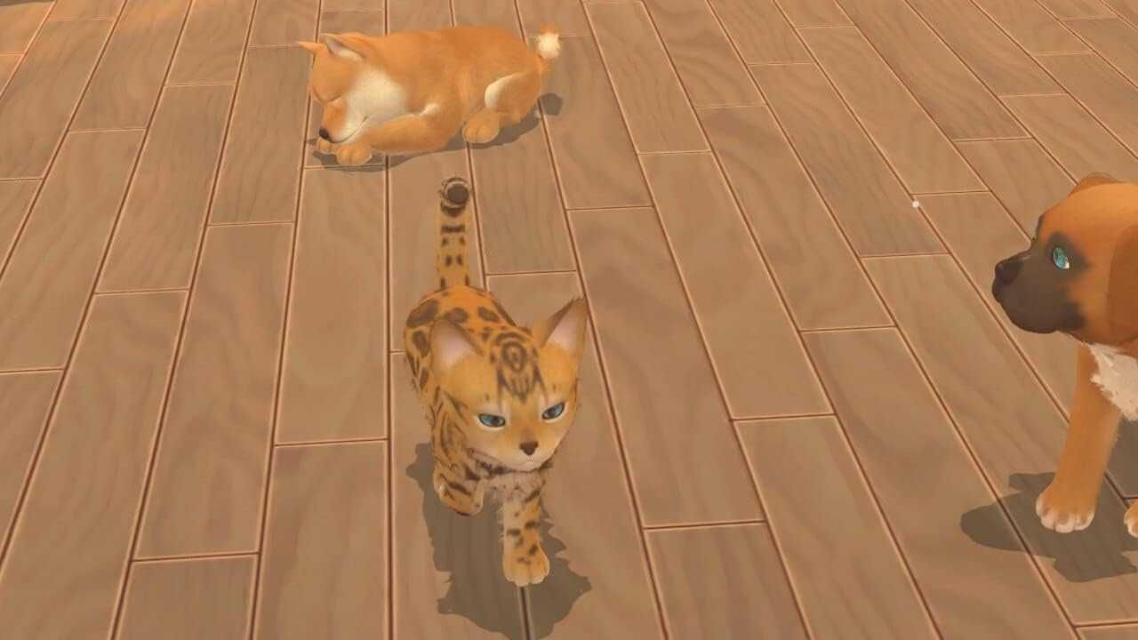Игра за Nintendo Switch – „My Universe My Baby Chiens & Chats„