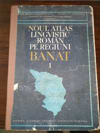 Vand Noul Atlas Lingvistic Roman pe Regiuni , Banat 1