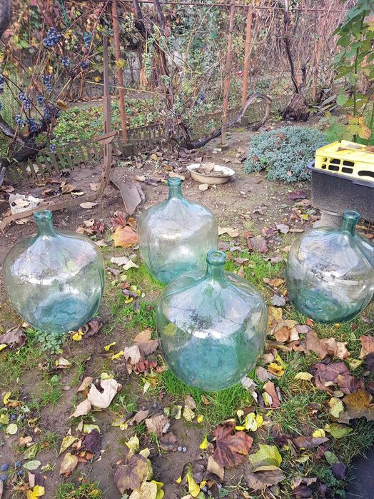 Pântecoase 50 litri