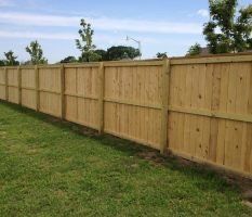 Edi meseriaș autorizat