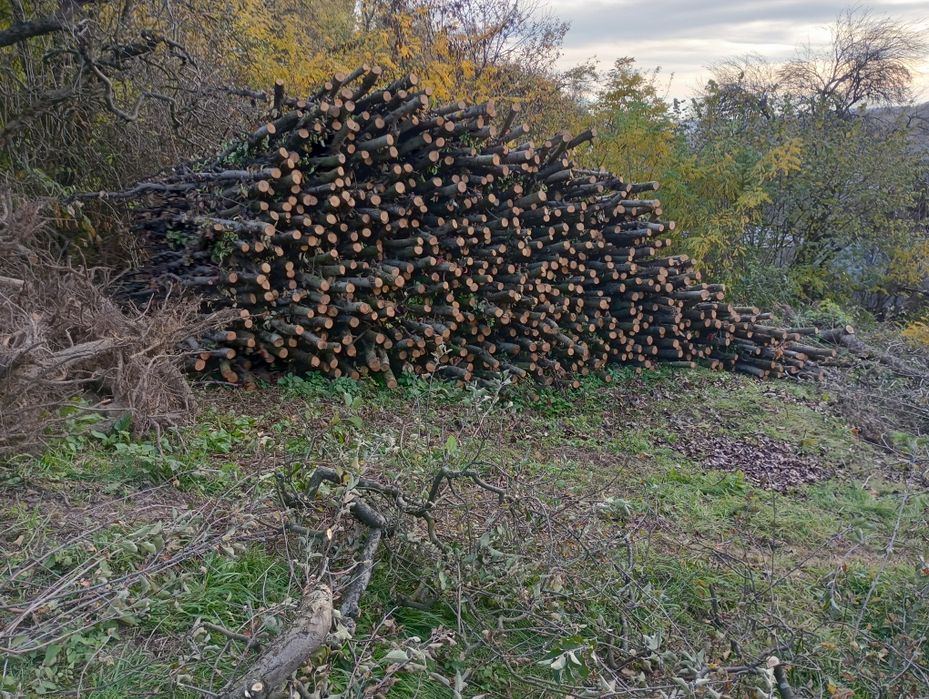 De vânzare leme de măr si  păr pentru foc!!