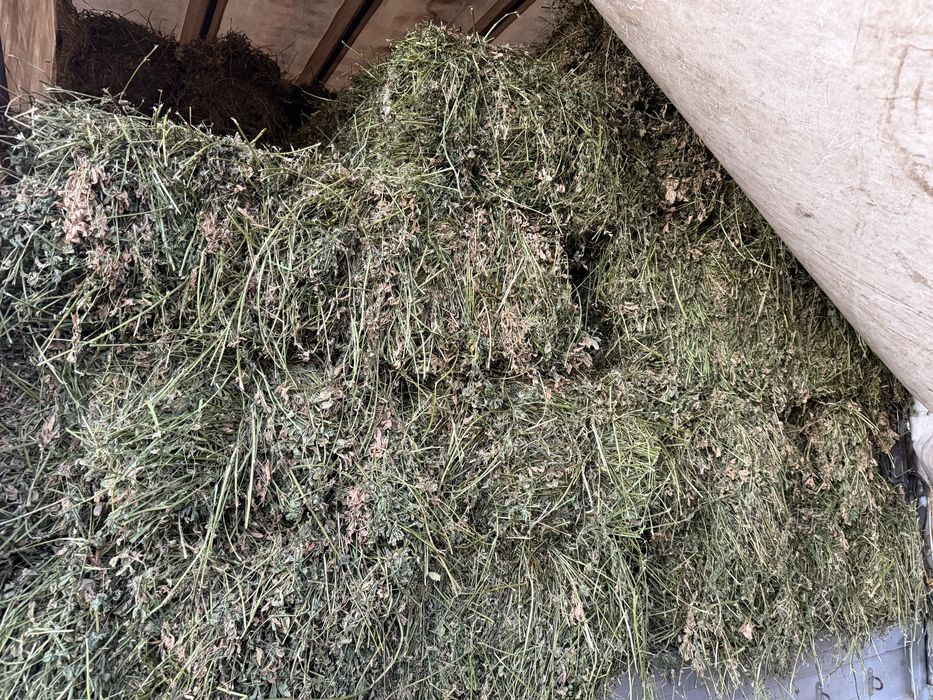 Vand baloti de lucerna