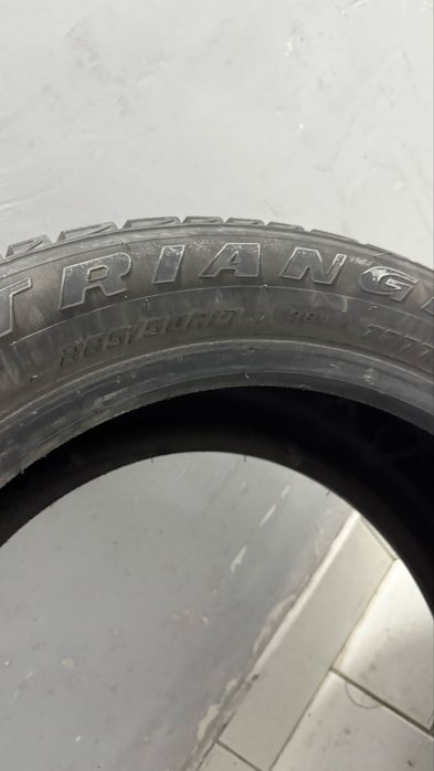Зимние шины Triangl r17 225/50