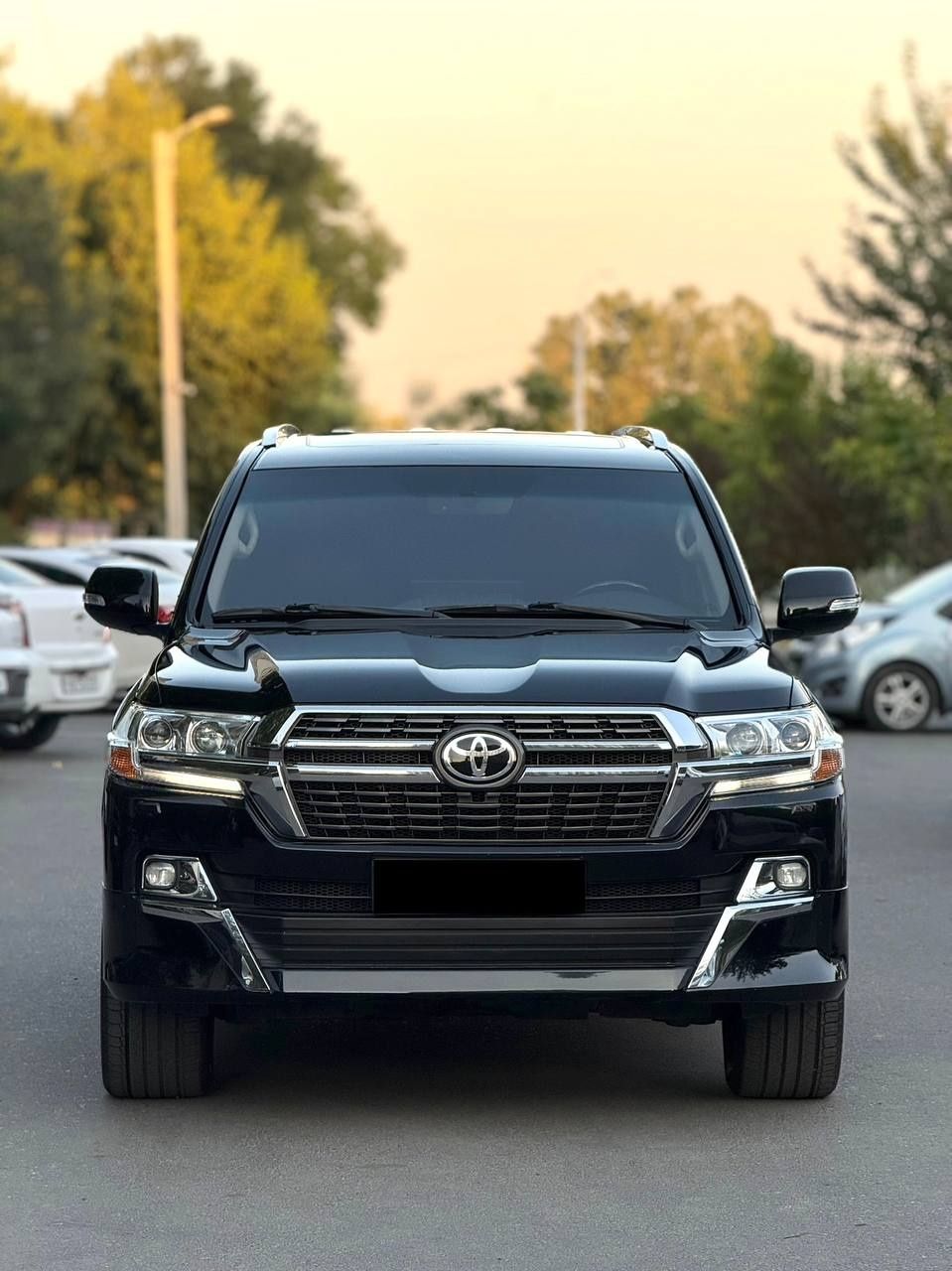 Toyota Land Cruiser 200   4.6L V8