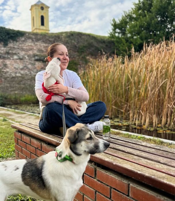 Petsitting | Îngrijitor animale - Plimbare, vizite, grãdiniță, cazare