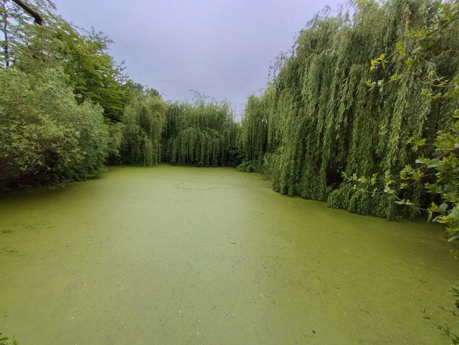Vând Teren intravilan, 9500mp, Filesti,la 700m de Talcioc