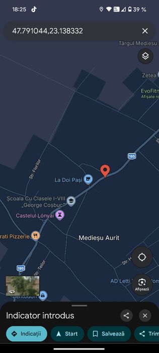 Teren 46 ari cu casa bătrânească Medieșu Aurit