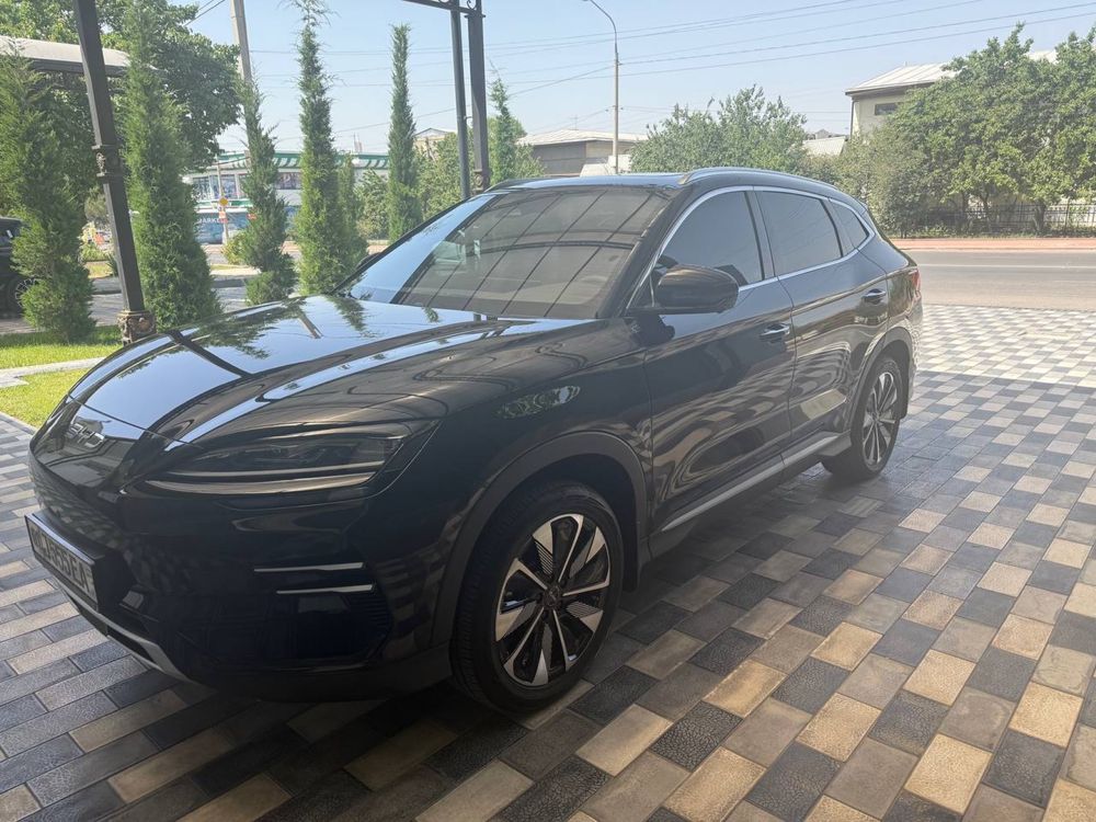 BYD Champion 2024/2025 Restyling