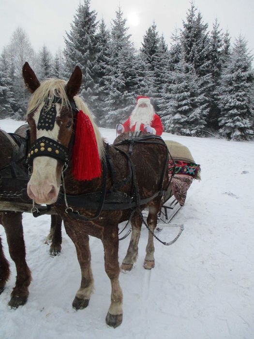 Inchiriem 150 de lei Mos Craciun acasa la micuti d-voastra