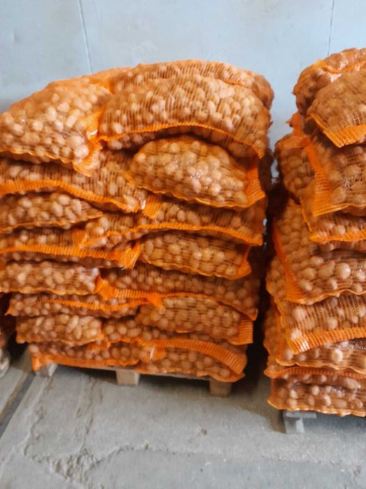 Vand cartofi  pentru animale