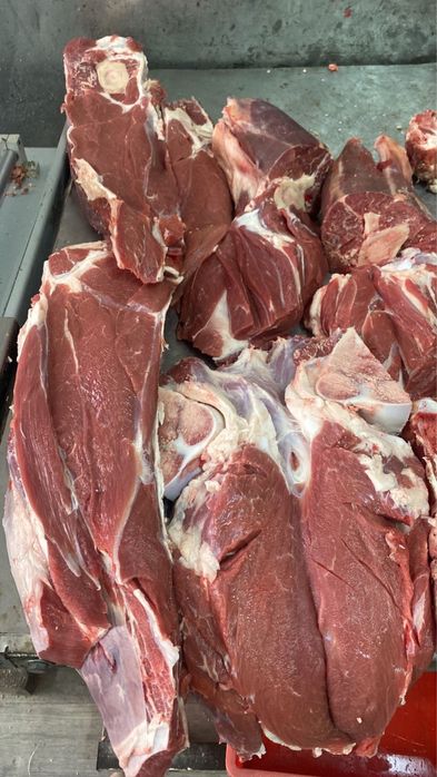 Согым , жилик мясо говядины откорм высший сорт. Оптовая продажа