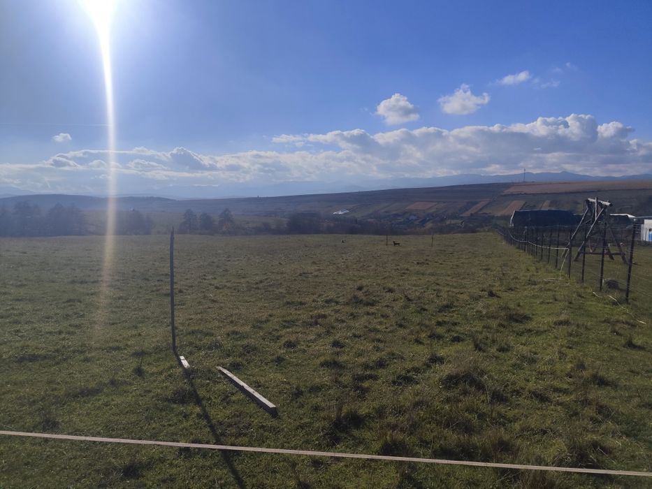 Vând teren Salicea com Ciurila