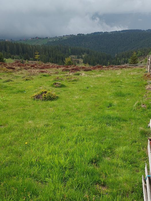 Vând teren la un preț foarte bun