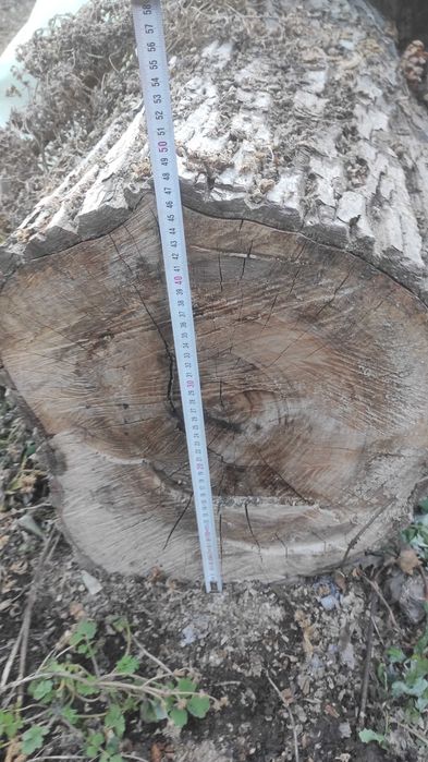 Lemn de nuc material mobilă