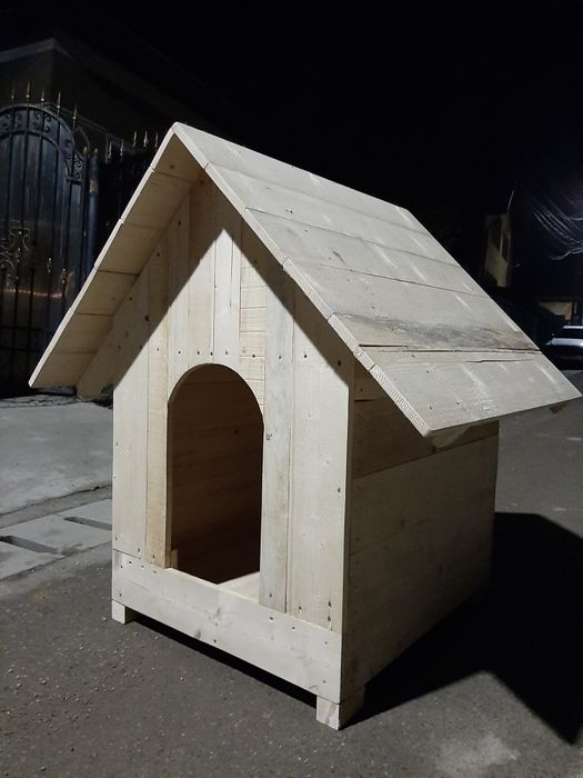 Cusca catei si pisici