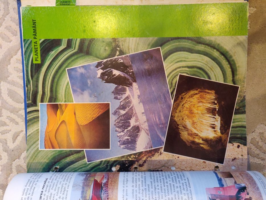 Arborele lumii - 3 bibliorafturi